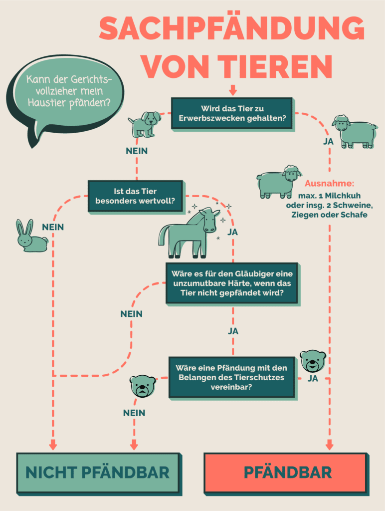 Unsere Infografik veranschaulicht, dass Haustiere gewöhnlich nicht der Zwangsvollstreckung in bewegliches Vermögen unterliegen. (Für größere Ansicht auf die Grafik klicken.)