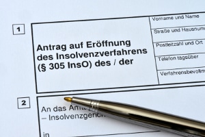 Das Insolvenzgesetz beinhaltet vor allem Regeln zum Insolvenzverfahren.