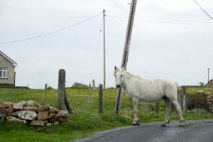 Auch die Zwangsversteigerung von einem Bauernhof bedarf eines Vollstreckungstitels.